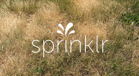 Accused of stealing technology, Sprinklr is facing a $50m lawsuit