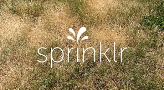 Accused of stealing technology, Sprinklr is facing a $50m lawsuit