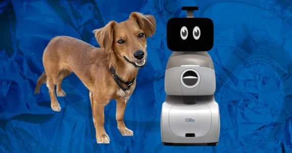 A brown dog stands next to a robot.
