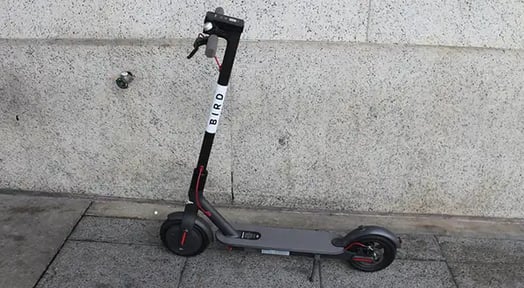 Bird will allow entrepreneurs to manage their own fleet of Bird scooters