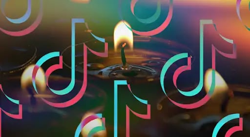 Survey finds TikTok is now creators’ favorite platform