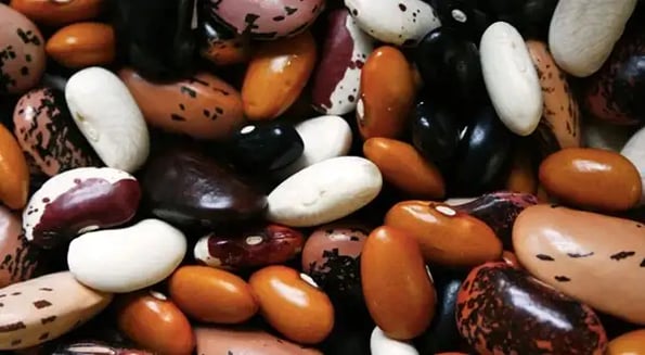 Grocery stockpilers are found to be full of beans — literally