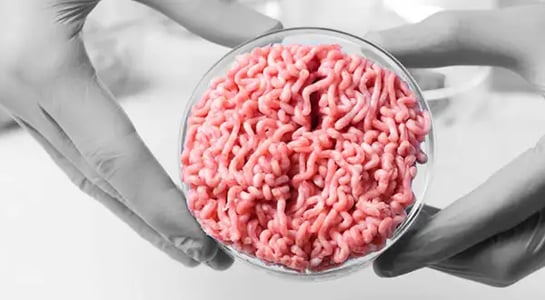 When cell-cultured meat hits the market, it’s gonna be expensive