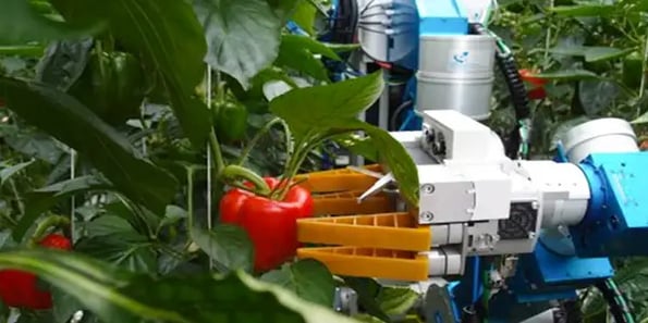 Are robots the answer to the agricultural job shortage?