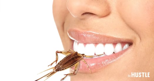 We Got Fitness Freaks to Try Food Made From Bugs