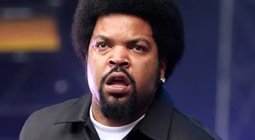 LL Cool J & Ice Cube might be trying to purchase some local sports TV stations