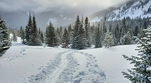 Why silver is suddenly all up in your snow