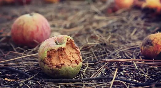 Companies are focused on antitrust violations, and Apple’s heavily in the mix