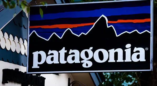 Patagonia doubles down on ‘morality marketing’ with endorsement of 2 senators