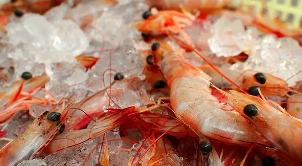 Tyson makes a jumbo investment in plant-based shrimp