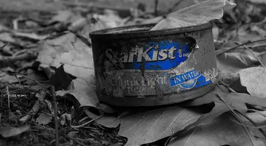 The truth shell set you sea: StarKist admits to fixing tuna prices
