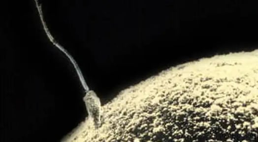 Fertility startup Future Family welcomed a new, $10m Series A into the world