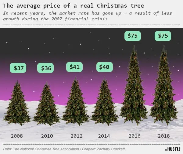 Average Price Of Christmas Tree 2024 In Us - Selie Cristine