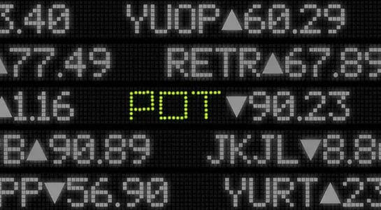 We won the POT-tery! The POT ticker lottery winner in Canada saw its shares rocket 65%