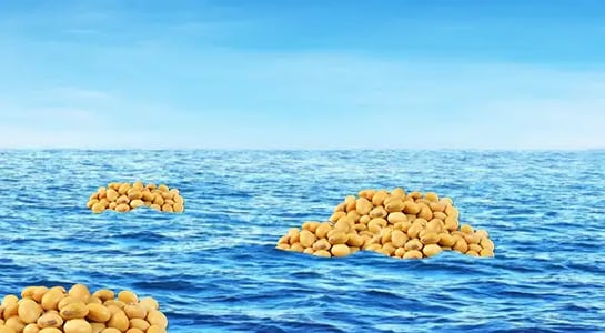 Trade wars keep soybean ship adrift in the Pacific for more than a month