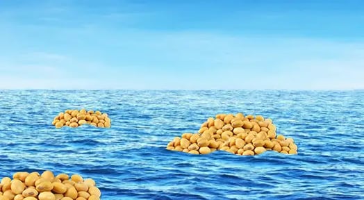 Trade wars keep soybean ship adrift in the Pacific for more than a month