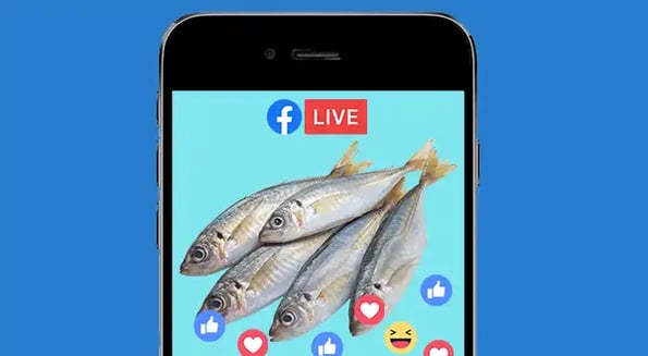 In parts of Asia, fish auctions now happen over Facebook Live