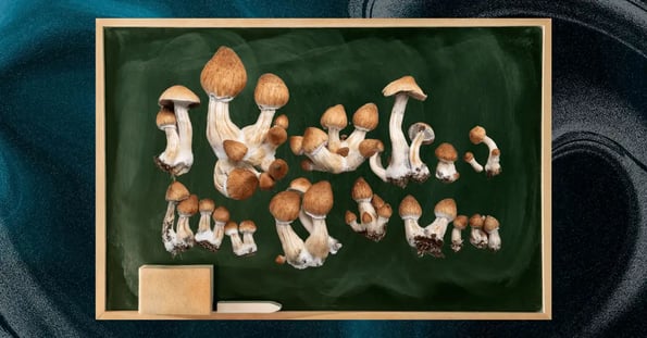 A chalkboard with brown mushrooms on it.