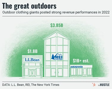 outdoor clothing retailer giant revenue