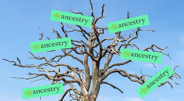 A private-equity firm bought Ancestry.com for $4.7B. Here’s what they might do with it.