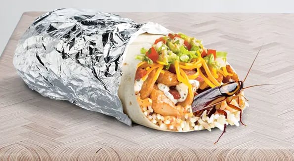 Chipotle’s new CEO is making a stale burrito app-etizing again