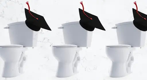 Smart toilets, explained