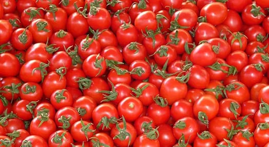 The US is at war… with Mexican tomatoes, and fans of the fruit will pay the price