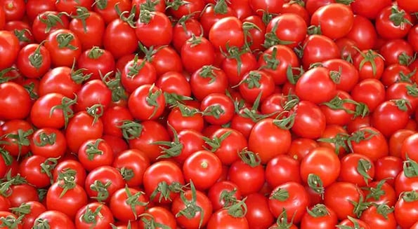 The US is at war… with Mexican tomatoes, and fans of the fruit will pay the price