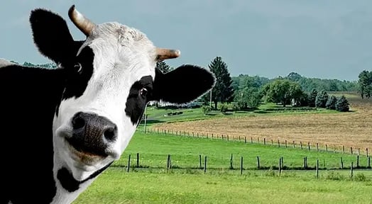 Can Chobani’s fair-trade partnership prevent the dairy industry from curdling?