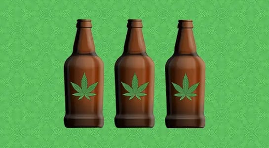 Weed report: Cannabis-infused beverages reportedly taste like urine
