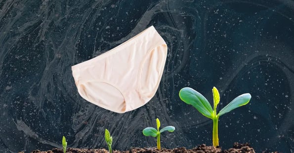 Can compostable undies prevent waste? - The Hustle