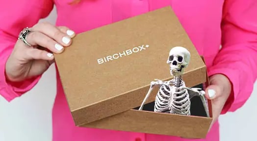 Birchbox invaded by Vikings, leaving investors empty-handed