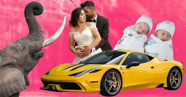 A collage of images against a pink background: an elephant eating greens, a bride and groom, twin newborns, and a yellow Ferrari sports car.