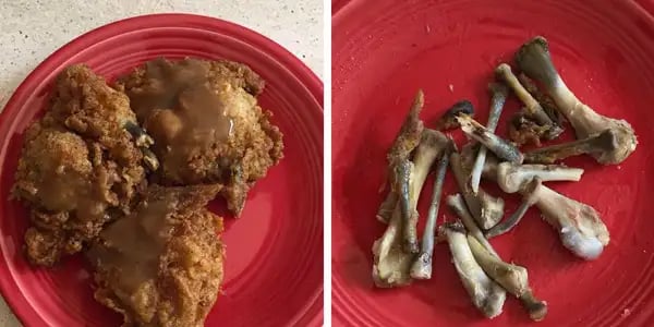 UK KFC’s chicken supplier drops the drumstick, leaving 640 branches birdless 