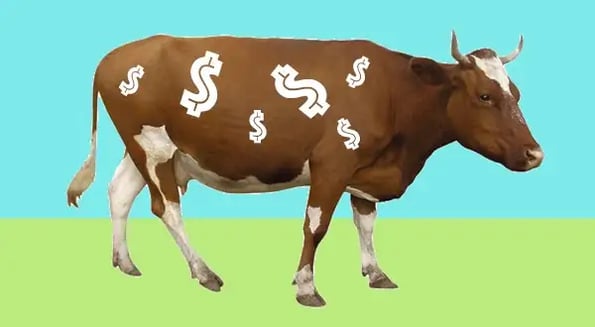 Beef is more expensive, but who’s profiting?