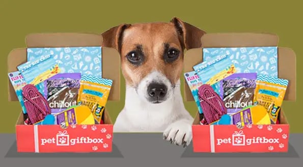A new vet subscription shows pets really are just like us — they’re suckers for good branding
