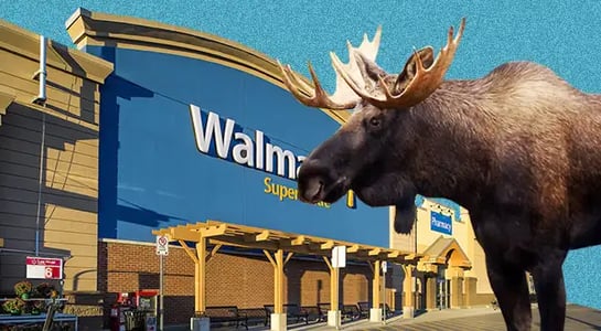 Walmart faces an epic fail in quest to sell premium outdoor brands