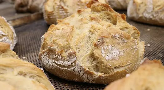 The economy might be toast, but the sourdough biz is on the rise