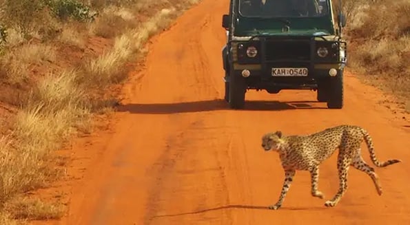 Safaris go sustainable… because that’s what the (rich) kids are into these days
