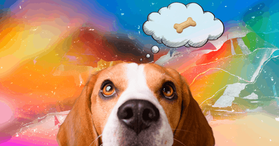 A beagle with a thought cloud next to its head. Inside is a bone.