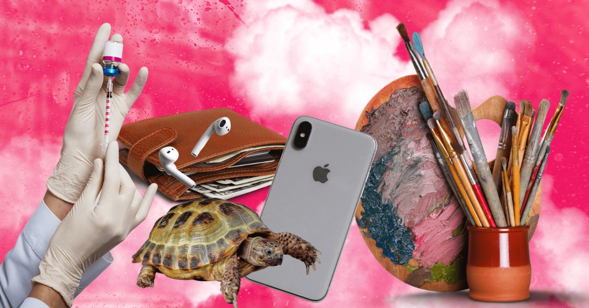 art supplies, turtle, phone
