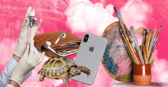 art supplies, turtle, phone