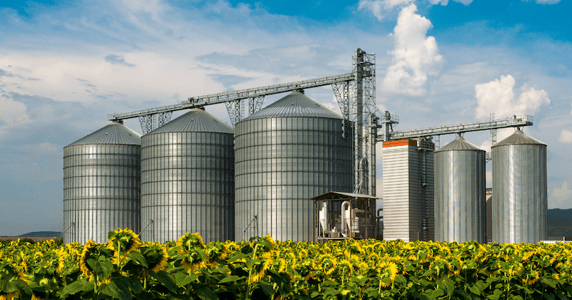 A cluster of grain silos on a sunny day behind a patch of sunflowers.