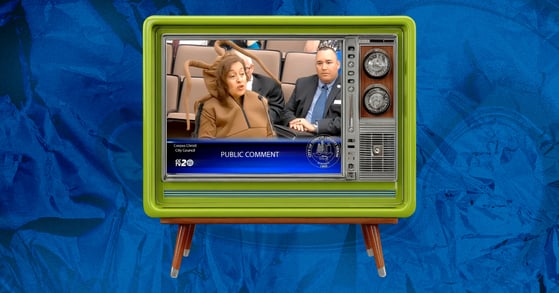 A green retro-style TV. On its screen is a woman dressed in a cockroach costume speaking at a city council meeting.