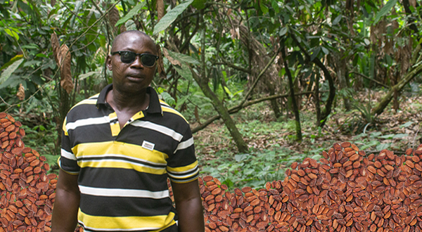 Olasunkanmi Abdulwahab in a cocoa field