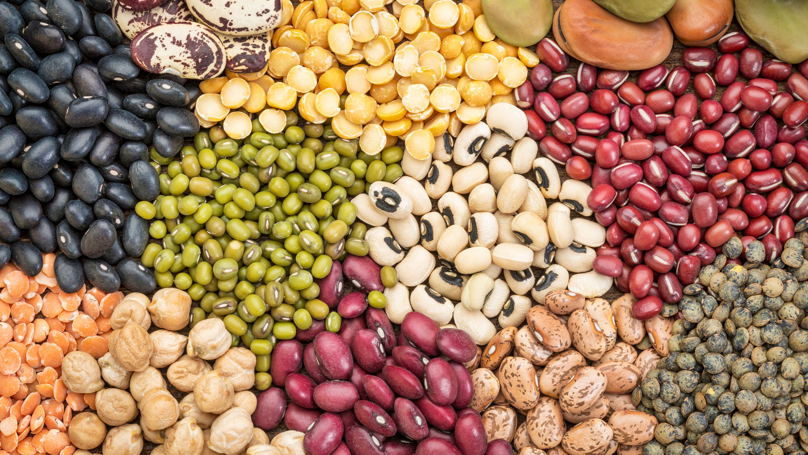 America’s bean king is thriving amid the protein craze