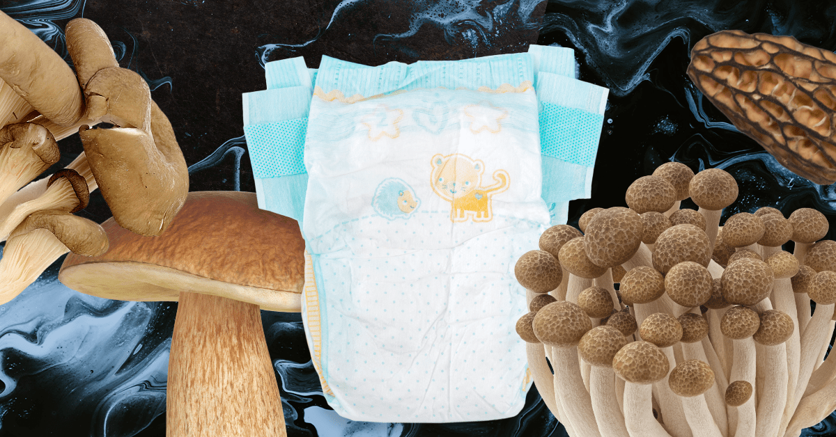 Can mushrooms solve the world’s diaper problem?