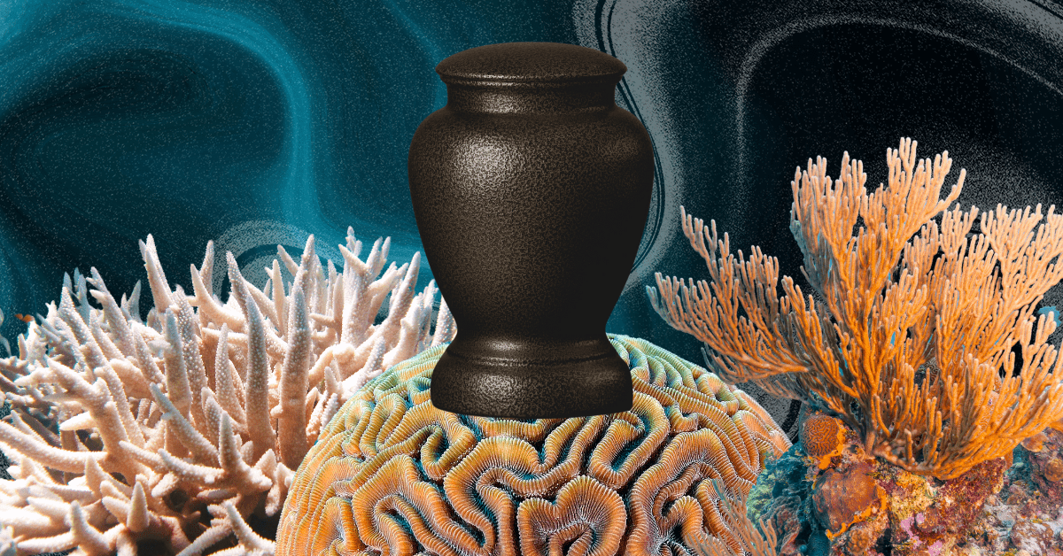 A startup can save you money with a burial at sea