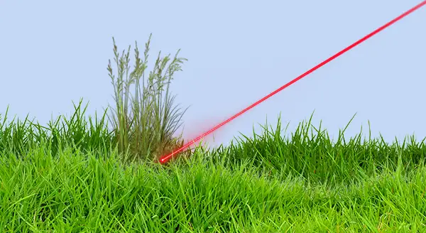 Why pull weeds when you can zap them with AI-powered lasers?