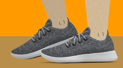 Allbirds, Silicon Valley’s favorite shoe company, has filed for an IPO
